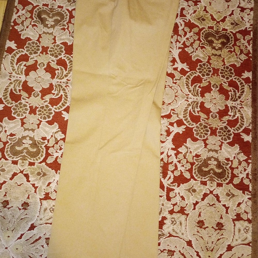 Talbots Chatham womens pants, side button, side zip .  size 10, NWOT